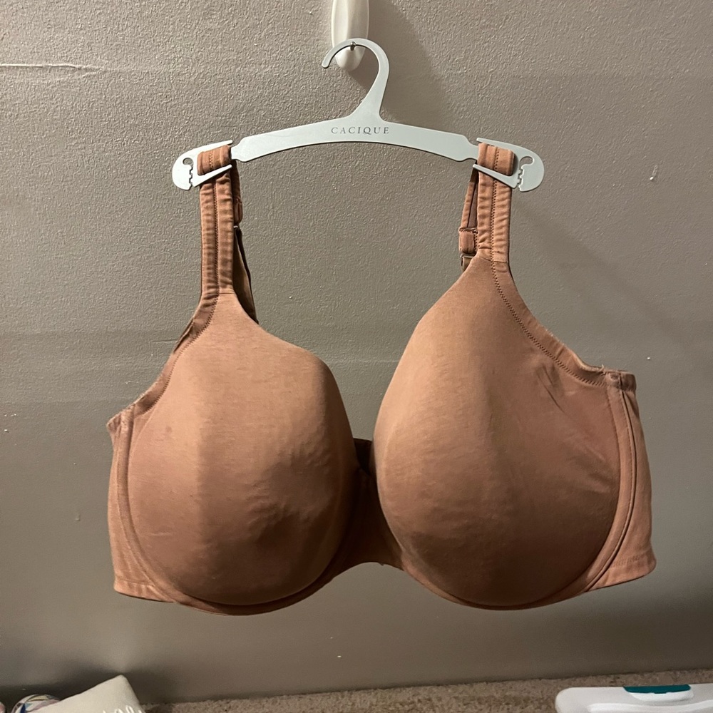 lane bryant t-shirt bra